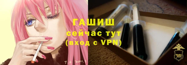 стаф Алзамай