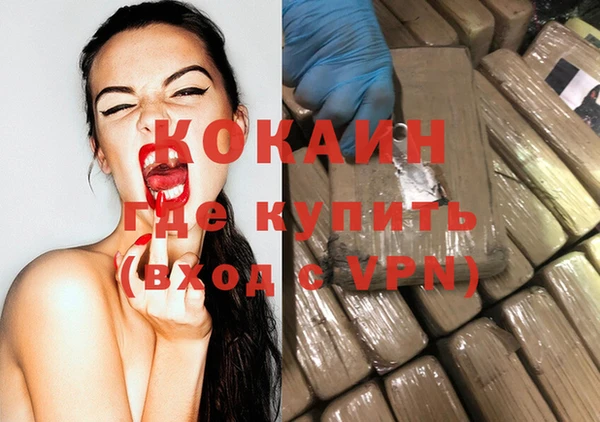 стаф Алзамай