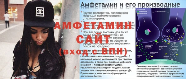 стаф Алзамай