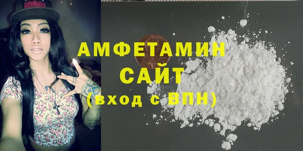 стаф Алзамай