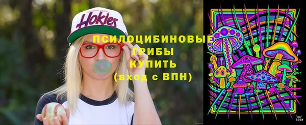 стаф Алзамай