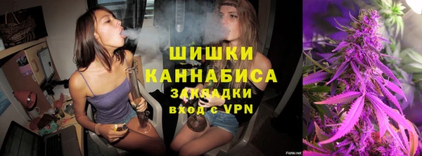 стаф Алзамай