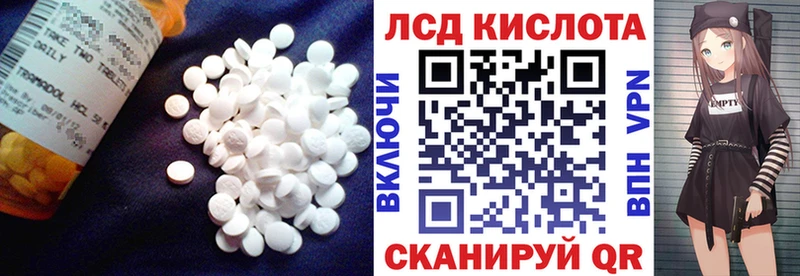 kraken ссылки Сосновый Бор Лсд 25 экстази кислота