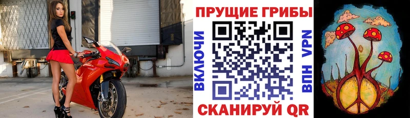 Псилоцибиновые грибы GOLDEN TEACHER  Сосновый Бор 